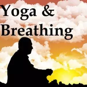 Yoga, Meditation & Breathing by Anthony Altman